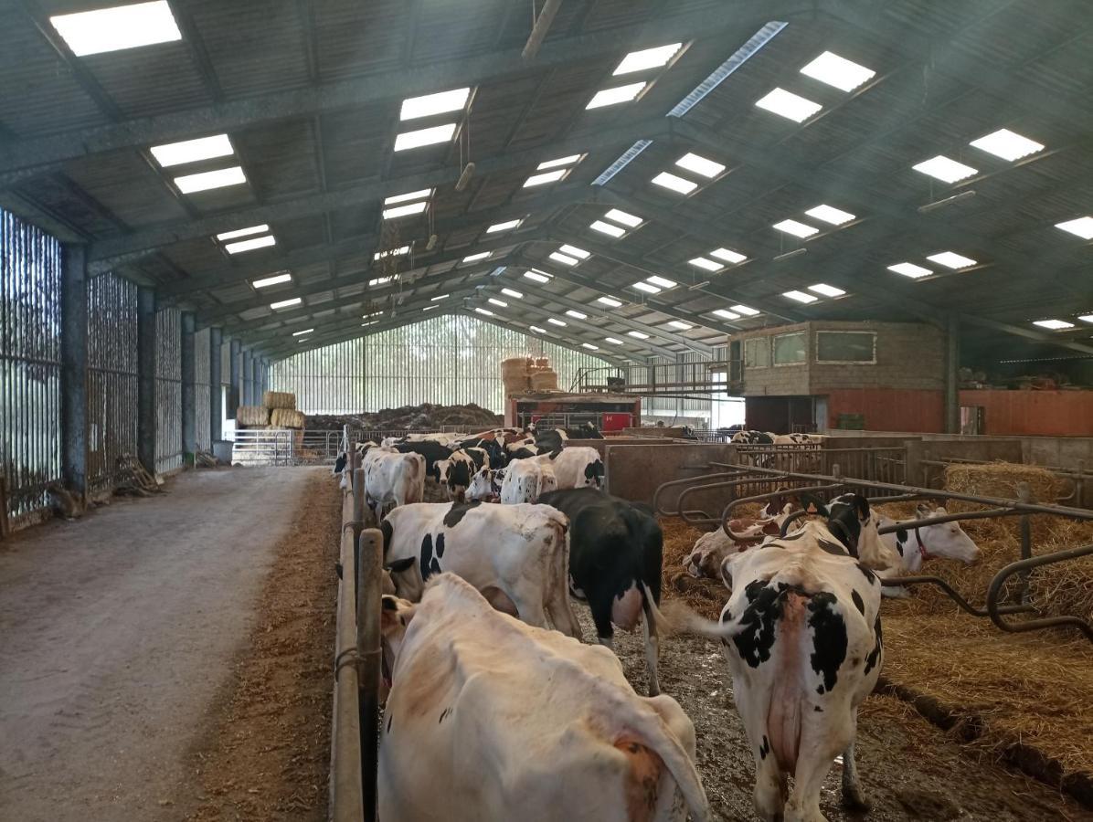 Gite A La Ferme Chez Magali Escaudoeuvres ภายนอก รูปภาพ