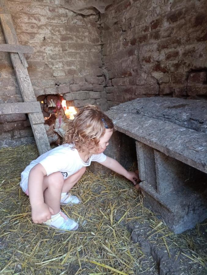 Gite A La Ferme Chez Magali Escaudoeuvres ภายนอก รูปภาพ